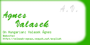agnes valasek business card