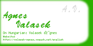 agnes valasek business card